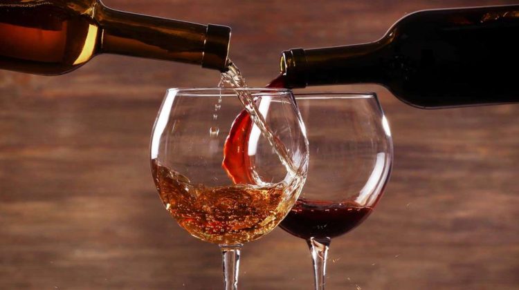 Weingut Wein guter Tropfen Rotwein Weisswein Geniessen Trinken Reise Weinreise