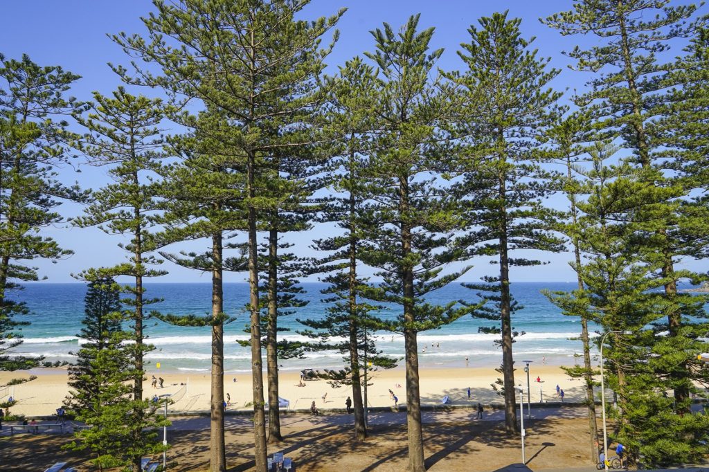 Manly Beach Australien Sydney