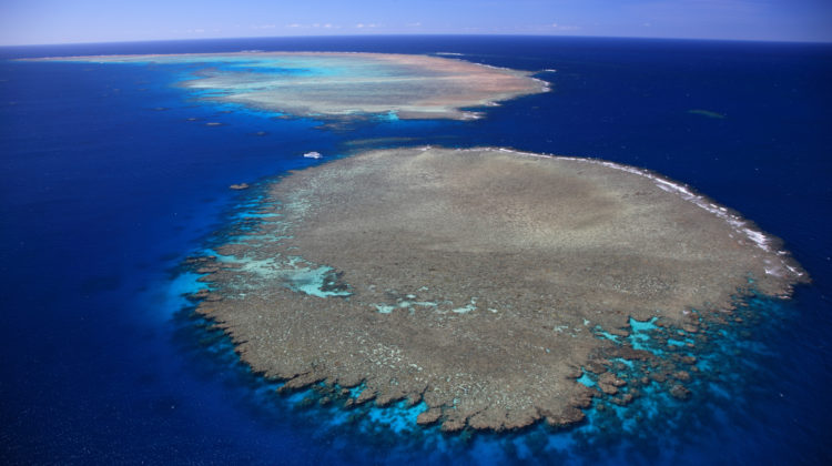 Tourism and Events Queensland (TEG) Great Barrier Reef Australien Erholung Korallen Riffe Klimawandel