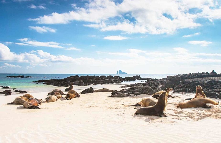 Inseln Bucketlist Galapagos Ecuador_c_Flash Pack worldofwellness