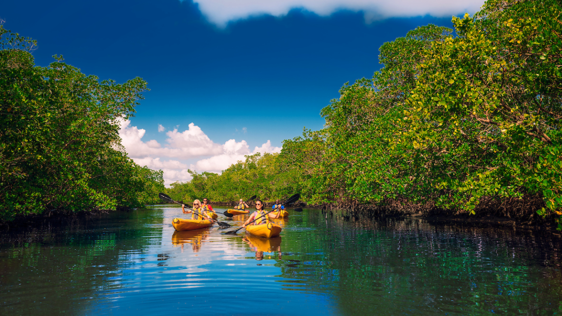 Florida © The Beaches of Fort Myers & Sanibel Kayaktour worldofwellness