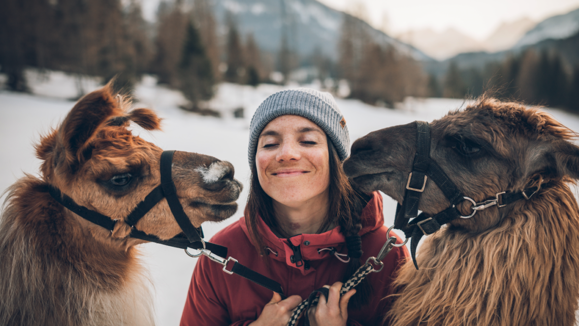 Tiroler Zugspitz Arena Lamas© TZA worldofwellness