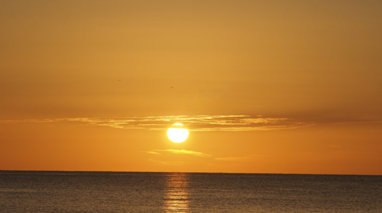 Florida Sunset Sonnenuntergang Summer over the Gulf of Mexico on Captiva Island 123RF worldofwellness