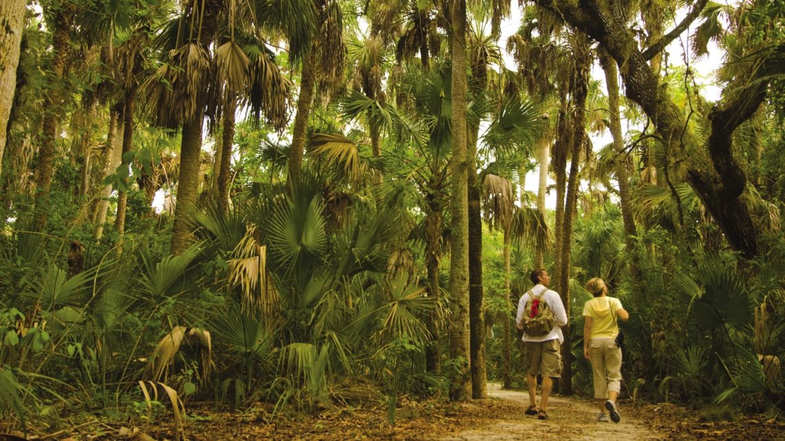 Florida © The Beaches of Fort Myers & Sanibel_Walking together worldofwellness